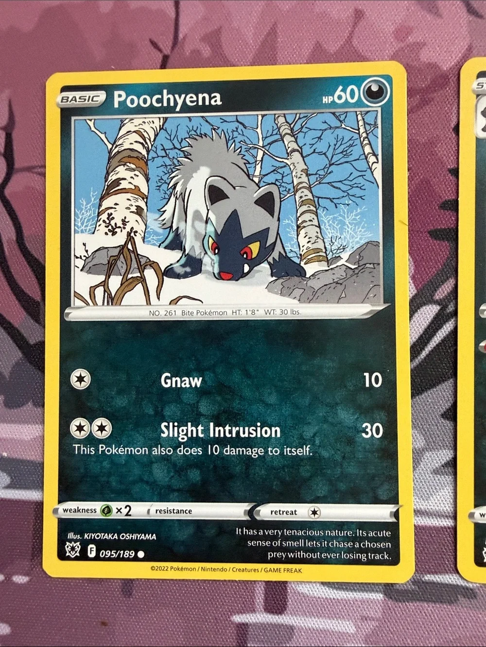Poochyena & Mightyena Evolution Lot | Temporal Forces + Astral Radiance| ✨5/$25✨